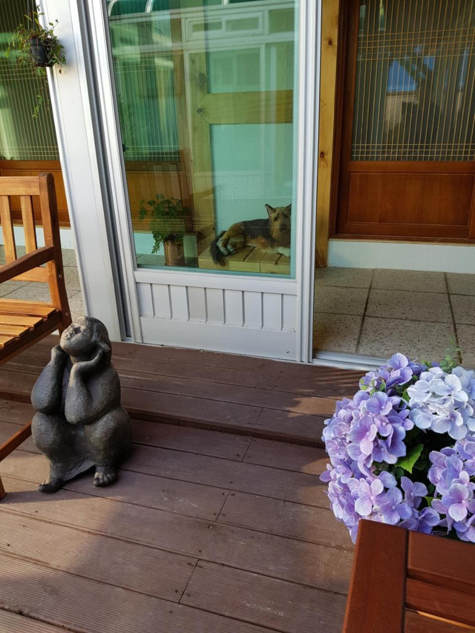 Dal Garam Guesthouse Gangneung Buitenkant foto